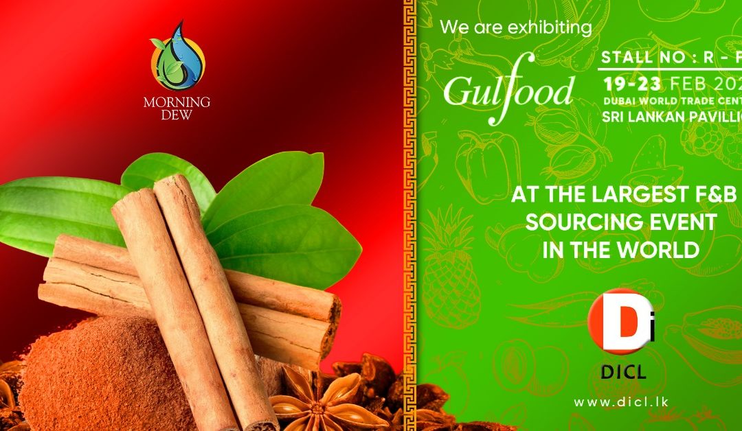We are ready to embark on a culinary journey with our exquisite spices!