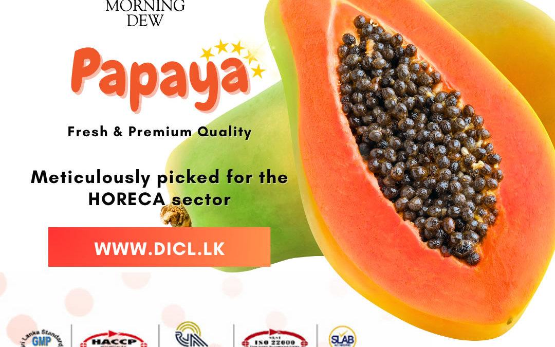 Discover the Finest Fresh Papayas from DICL!